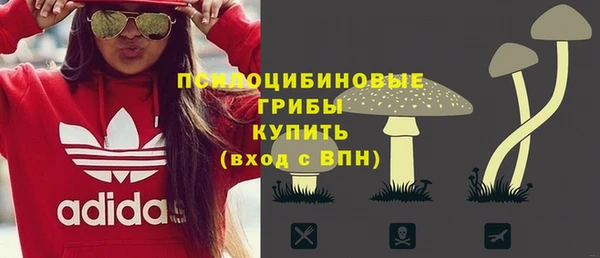 Альфа ПВП Мегион
